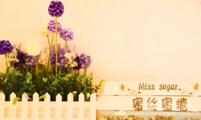 蜜丝蜜糖 蜜丝蜜糖