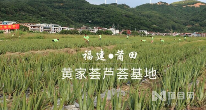 黄家荟美容院