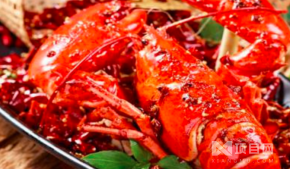 蝦宴泰国活虾料理加盟过程中提供哪些支持？