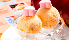 法式甜园冰淇淋加盟公司主要经营哪些产品？加盟有那些扶持支持？