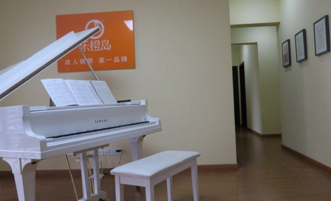 乐橙岛成人钢琴吧
