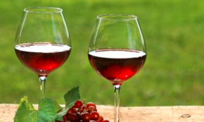 青竹葡萄酒加盟产品质量有保证吗？发货可以自选吗？