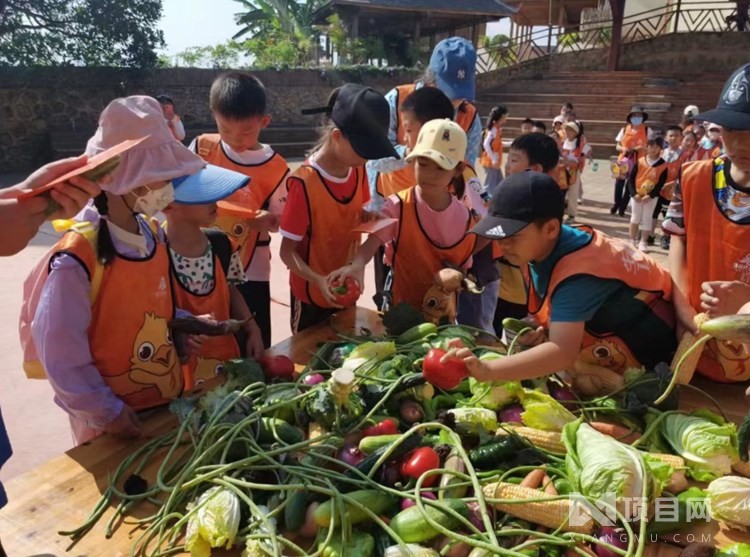 小学生托管班加盟