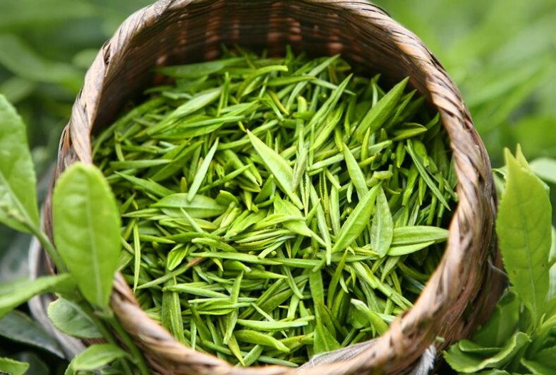 赋雅轩茶 赋雅轩茶