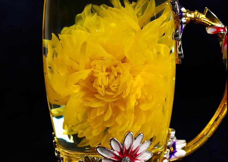 顶菊花茶