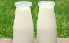 齐梅牧场鲜奶吧加盟总部如何进行产品研发？