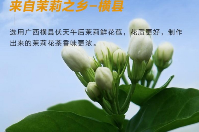 蜀信茶业