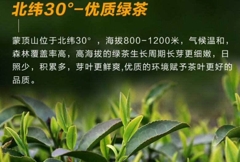 蜀信茶业