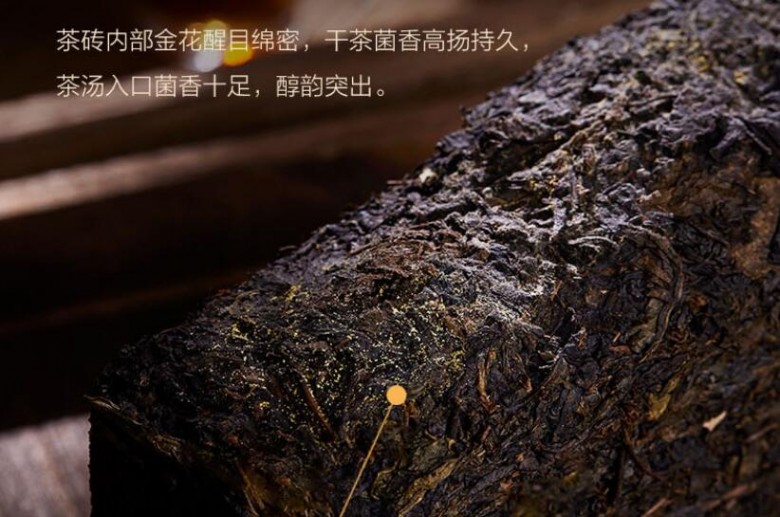 七春茶业
