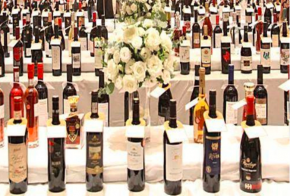 丰德柯诺苏葡萄酒加盟小投入大回报，小生意大市场