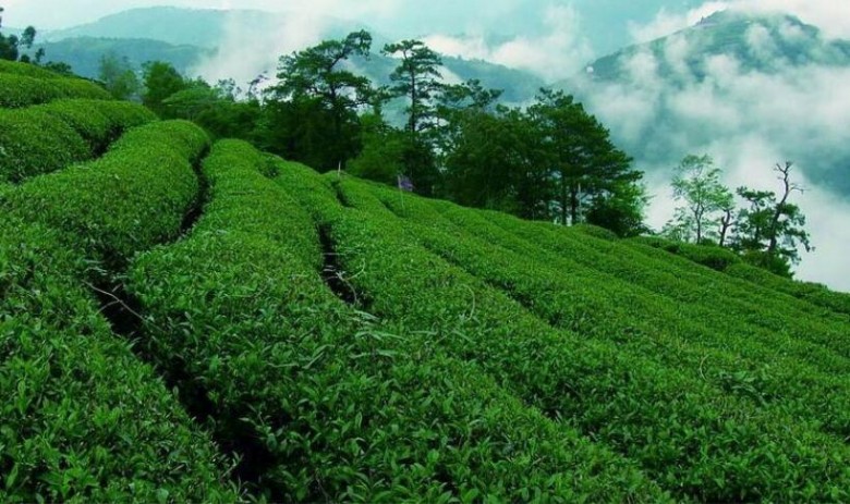 undefined加盟 undefined加盟