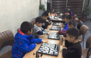 树龙国际象棋俱乐部加盟品牌市场前景怎么样？