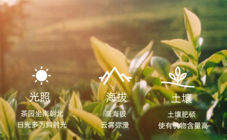 奇苑加盟
