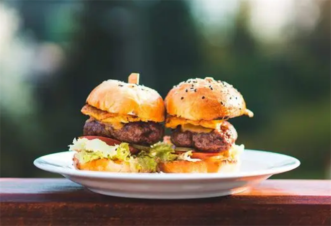 邁德堡漢堡加盟