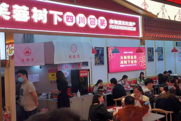 芙蓉樹下冒菜加盟