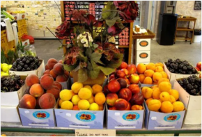 果多美水果超市加盟多少钱？加盟条件有哪些？