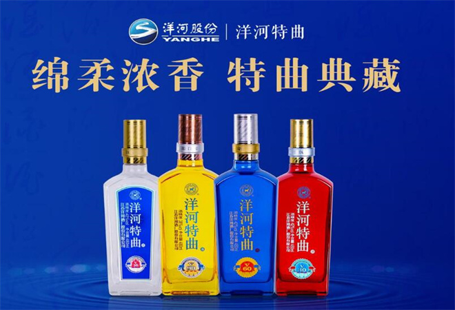 洋河特曲加盟