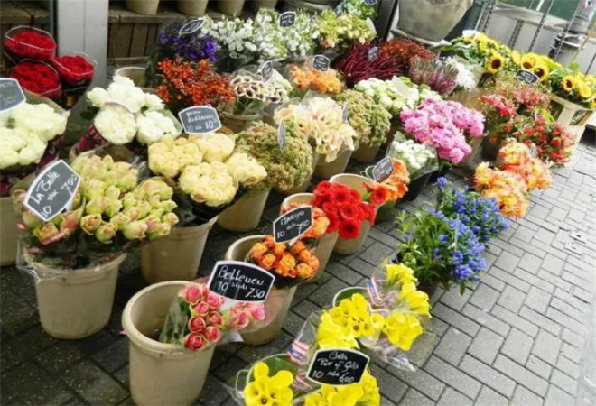 花滿分鮮花店加盟