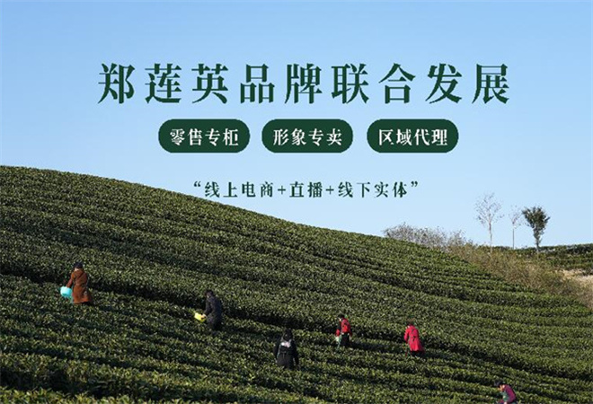 郑莲英茶业加盟