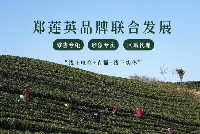 郑莲英茶业加盟