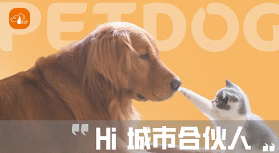 派多格寵物用品加盟