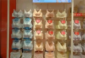 2025年开一家香蜜闺秀内衣加盟店大概多少钱？