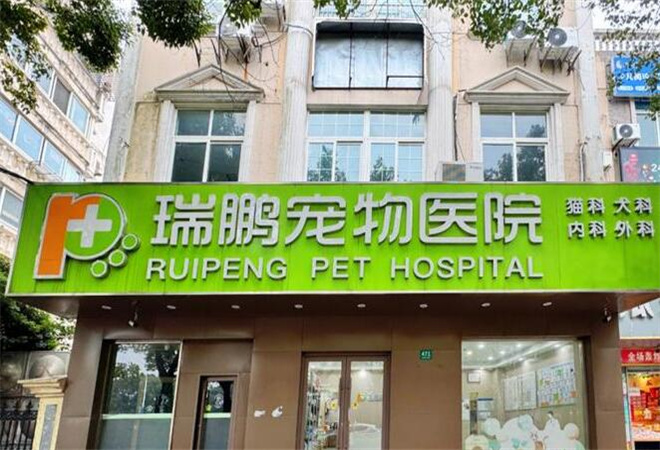 瑞鵬寵物醫(yī)院加盟