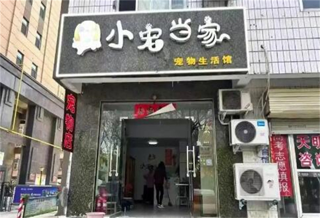 小寵當(dāng)家寵物店