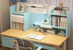 小小博士后學(xué)習(xí)桌加盟前景好嗎？適合哪些人加盟？