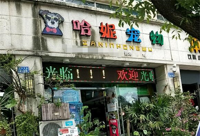 哈妮寵物 哈妮寵物