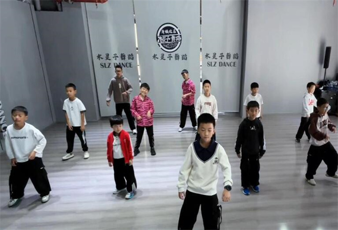 水靈子舞蹈培訓(xùn) 水靈子舞蹈培訓(xùn)