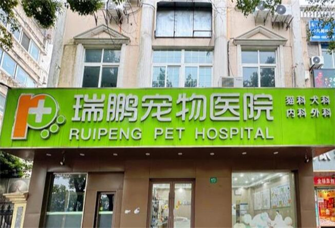 瑞鹏宠物医院