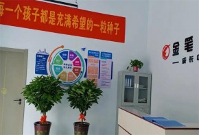 金筆作文加盟：如何在新教育政策下穩(wěn)健發(fā)展？