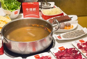 牛很鮮潮汕牛肉火鍋加盟具體扶持政策有哪些？