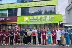 瑞鵬寵物醫(yī)院加盟收益怎么樣？加盟條件簡(jiǎn)單嗎？