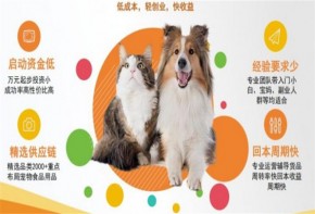貝享寵寵物用品值得信賴嗎？加盟有哪些優(yōu)惠政策？