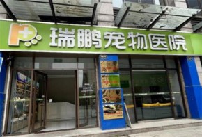 瑞鵬寵物醫(yī)院加盟開(kāi)在小縣城可以嗎？總部實(shí)力可靠嗎？