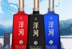 洋河特曲加盟有投資價(jià)值嗎？流程是什么？