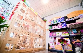 哈妮寵物總部有實力嗎？加盟好上手嗎？