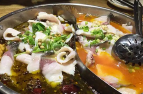 為何食客頻頻回頭？福祺道魚火鍋滿意度真相揭曉！