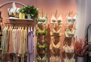 芭妮雅內(nèi)衣加盟如何拉動市場份額？