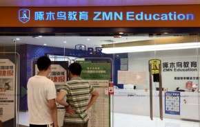 教育行业轻资产赛道，当下加盟啄木鸟教育还存在市场红利吗？