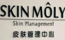 skinmoly皮肤管理多元化服务项目，发展潜力大