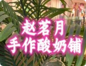 趙茗月手作酸奶鋪