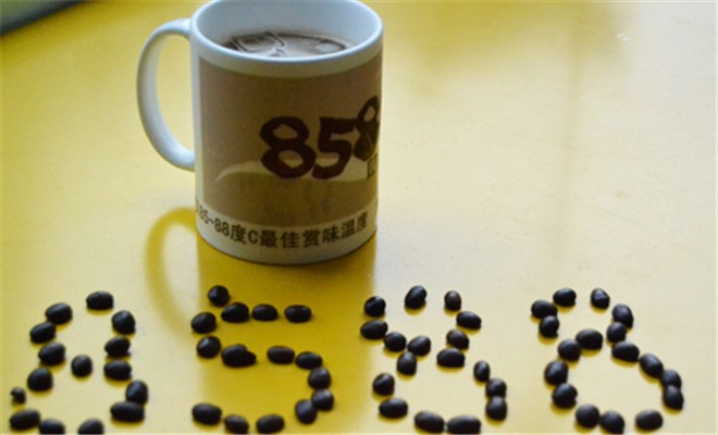 8588咖啡
