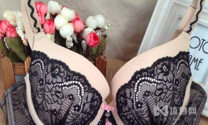 菲美茜內(nèi)衣