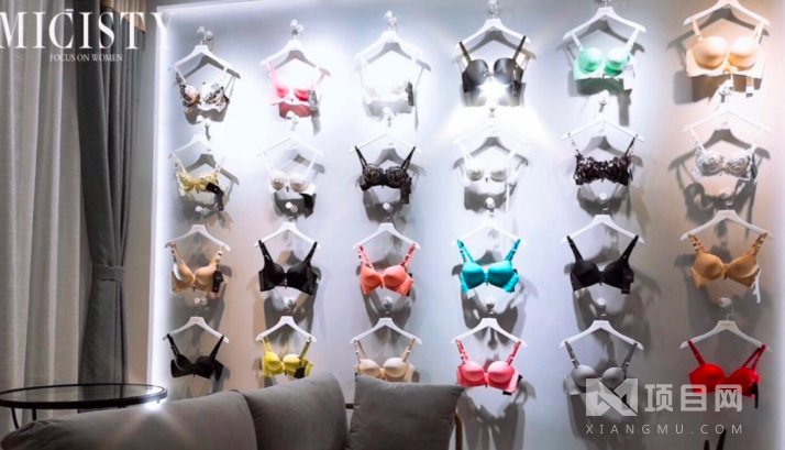 密汐皙迪內(nèi)衣