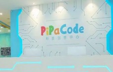 PiPaCode少儿编程加盟好不好？适合加盟吗？