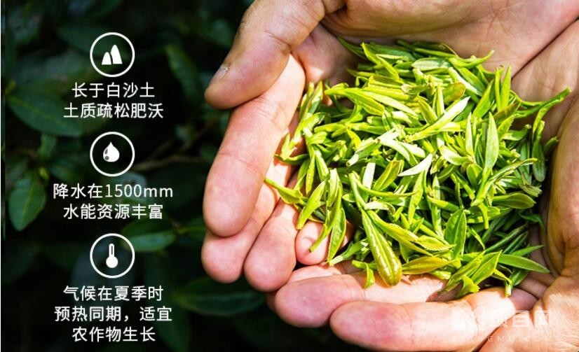 吾家香茗茶