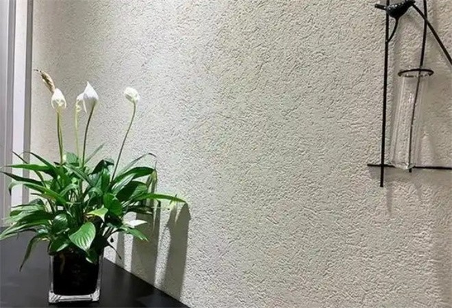 譽(yù)林藝術(shù)涂料